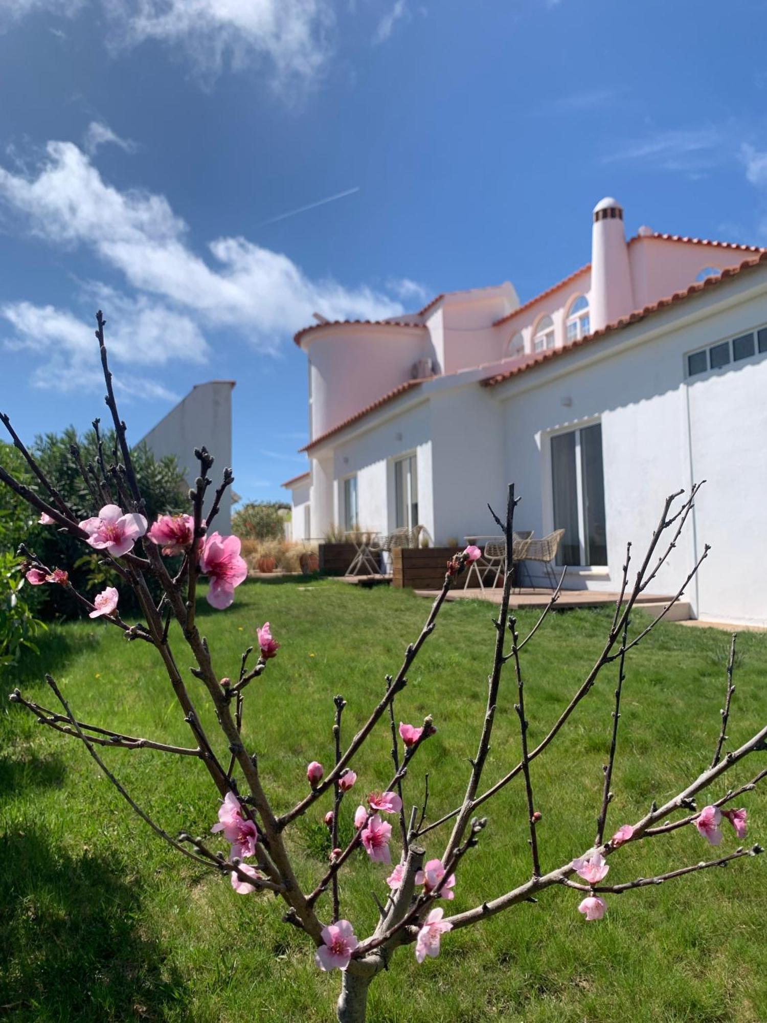 Sunday Morning Guesthouse Aljezur Exterior photo